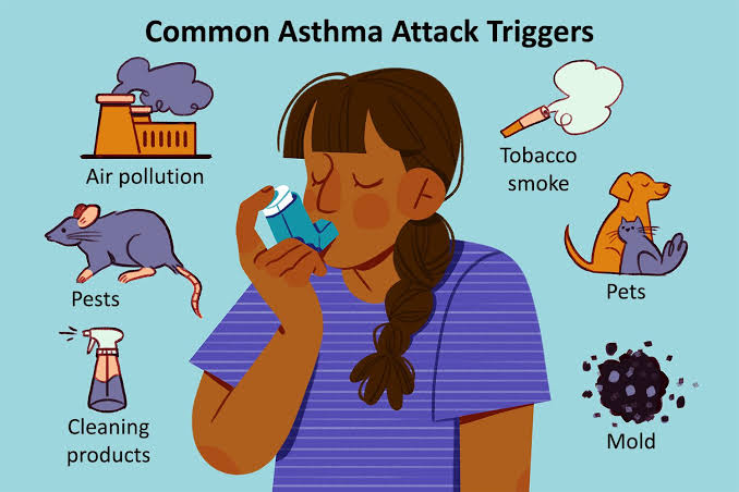 What Causes Asthma And How To Prevent Attacks