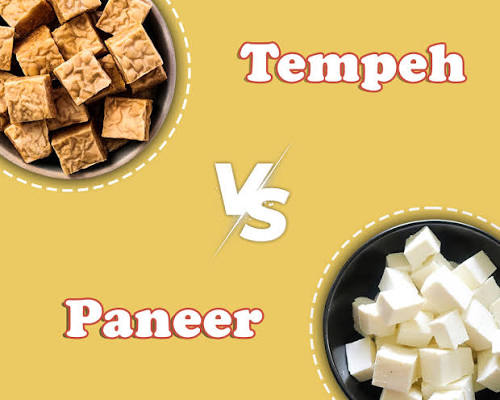 What Is Tempeh and How Is It Different From Paneer