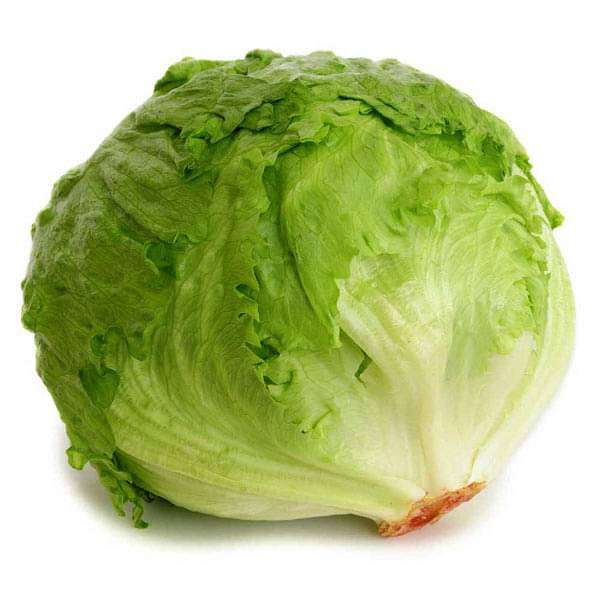 Lettuce